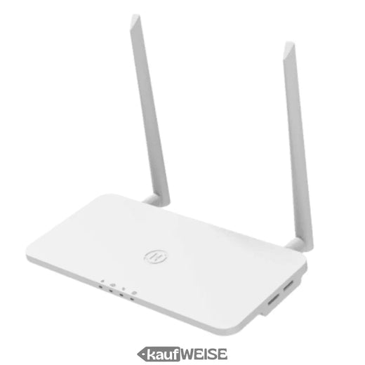 Hoymiles DTU-Pro-S – WLAN-datalogger voor micro-omvormers | Toezicht en bewaking