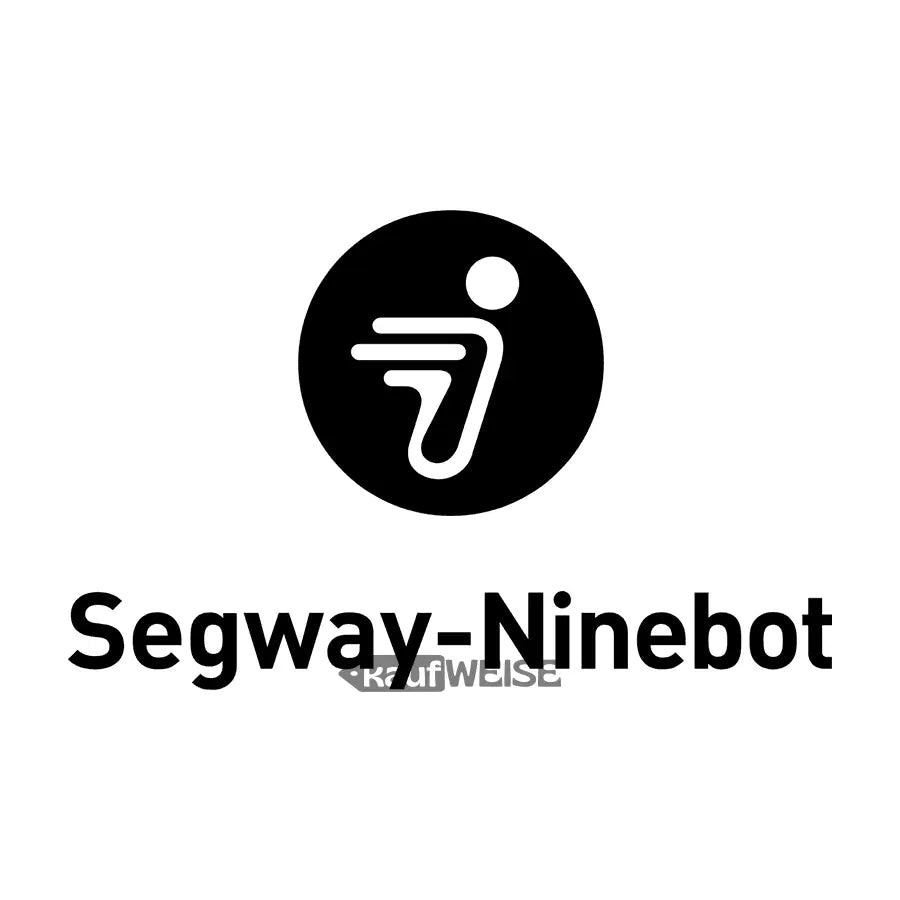 Segway Ninebot E-Scooter mit schwarzem Logo und abstrakter Figur